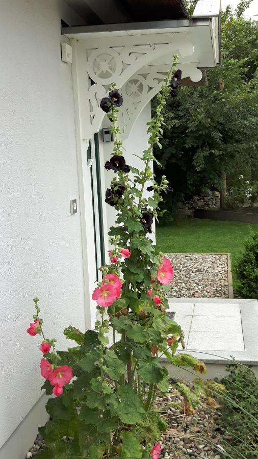 Ferienhäuser Salzhaff-Romantik Tessmannsdorf Exterior foto