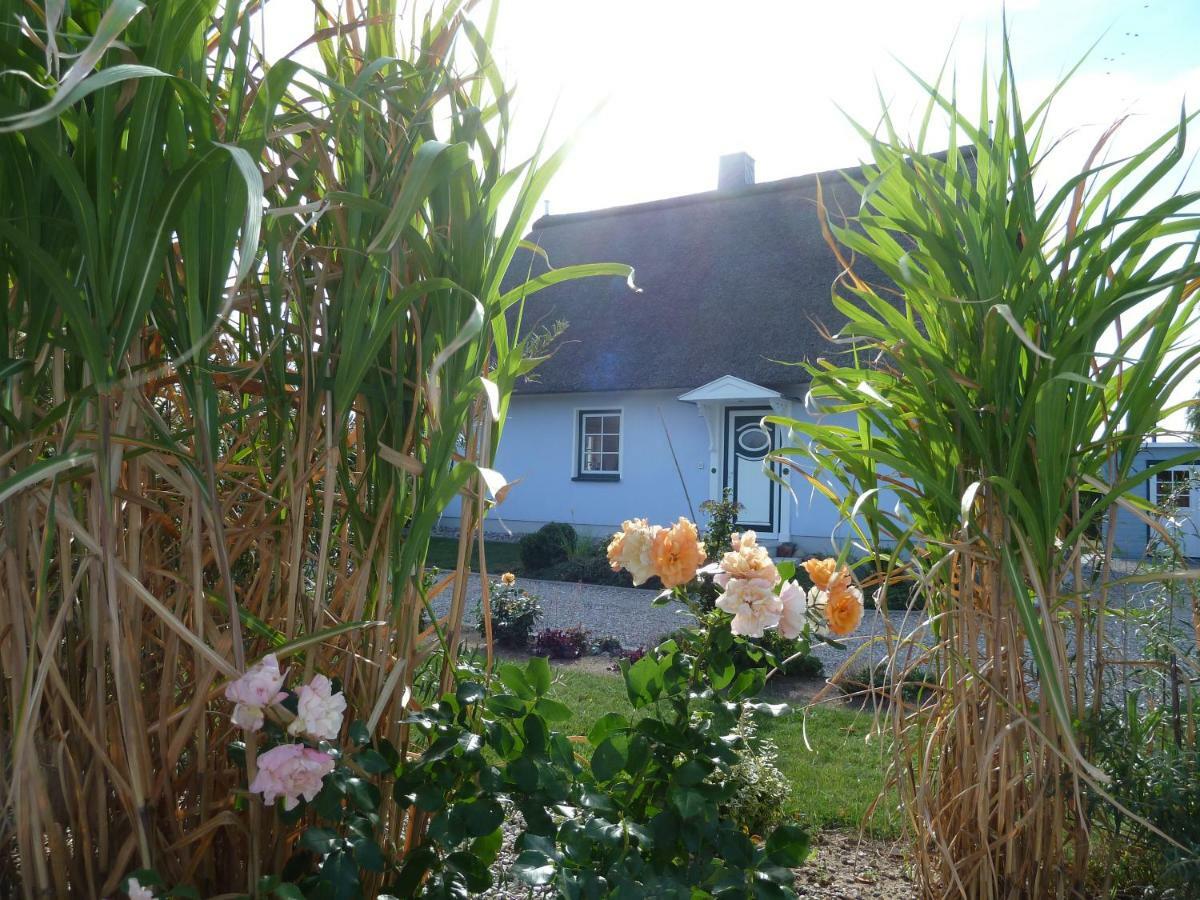 Ferienhäuser Salzhaff-Romantik Tessmannsdorf Exterior foto